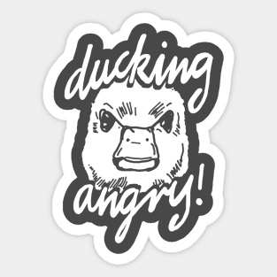 Angry Duck Meme Sticker